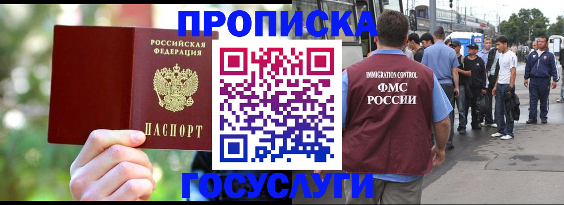 прописка поиск в Ермолино